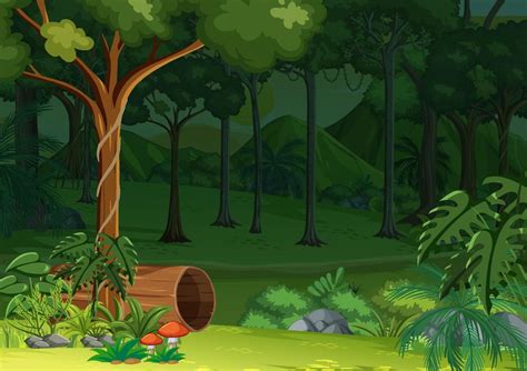 Nature Forest Landscape Background Vector Art At Vecteezy