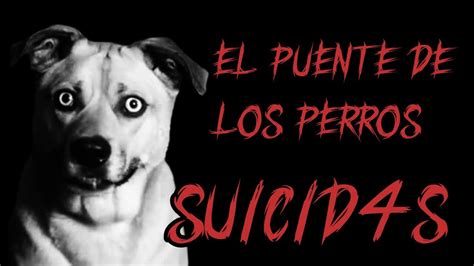 El Puente De Los Perros Su C D As Youtube