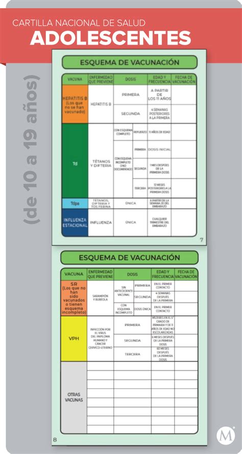 Cartilla De Vacunacion Del Adulto Mayor