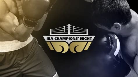 Professional Boxing Committee – IBA