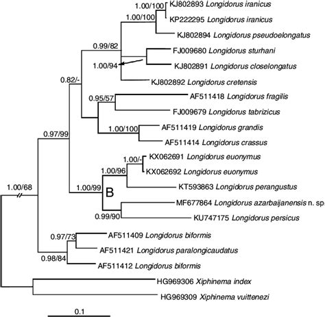 Bayesian Tree Inferred Under The Gtr G I Model From Its Rdna Partial