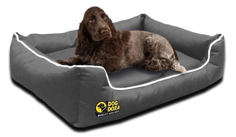 The Best 10 Waterproof Dog Beds (2024) | UKPets