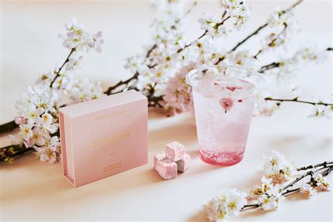 Starbucks Will Release Cherry Blossom Flavored Related Drinks And Goods