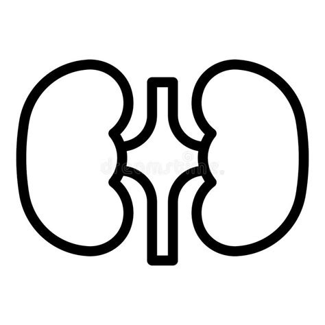 Het Vectorpictogram Van Het Overzicht Van De Urologie Thin Line Zwart