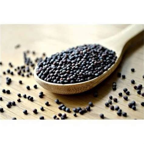 99 Black Mustard Seeds Packaging Type Packet Packaging Size 1 Kg