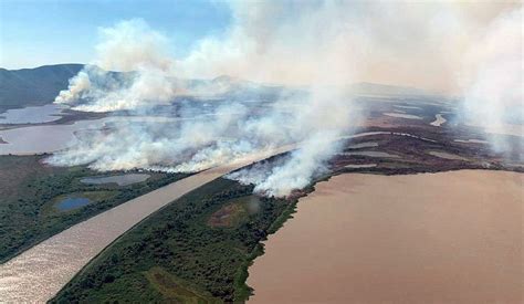 Queimadas Mataram Milh Es De Animais Vertebrados No Pantanal Em