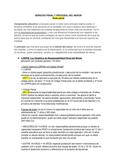 Derecho Penal Y Procesal Del Menor 2 Derecho Penal Y Procesal Del