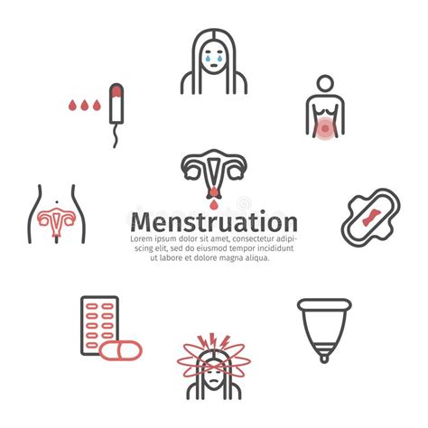 Menstruation Banner Line Icons Vector Signs For Web Graphics