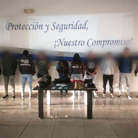 Quito Cinco Presuntos Sacapintas Fueron Detenidos Por La Polic A Nacional