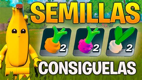 Como Conseguir Semillas En Lego Fortnite Donde Encontrar Semillas