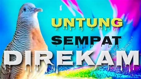 Untung Sempat Di Rekam Kalau Tidak Pasti Tidak Akan Percaya Youtube