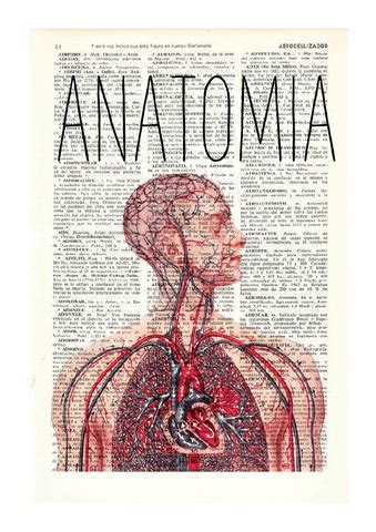 1o PARCIAL ANATOMIA Pdf