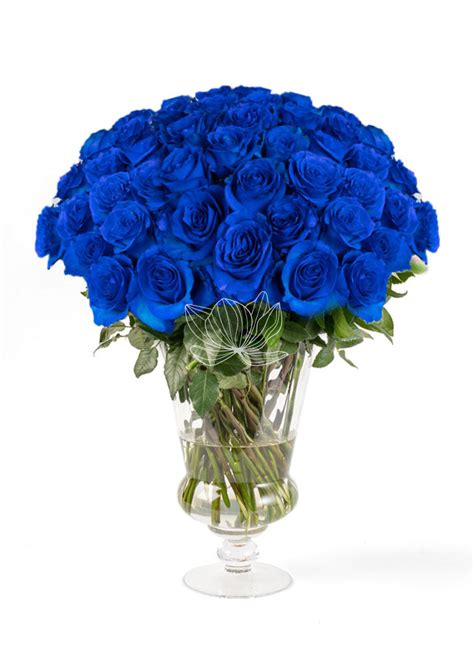 Blue Tinted Long Stem Roses Blue Flower Bouquet Blooming Emotions