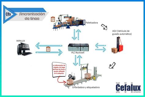 Control de paletizado de final de línea Cefalux S L