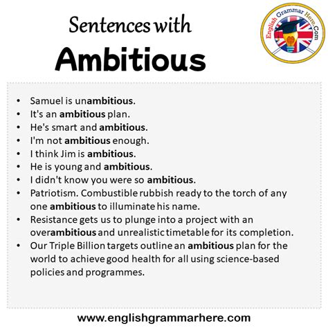 Sentences With Ambitious Ambitious In A Sentence In English Sentences