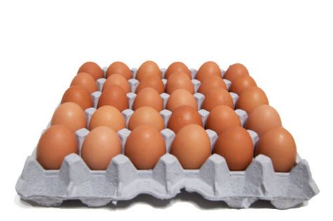 The Eye-Health Benefits of Egg Yolks: Lutein and Zeaxanthin - World Today News