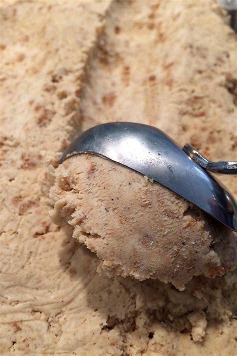 4 Ingredient No Churn Gingerbread Ice Cream