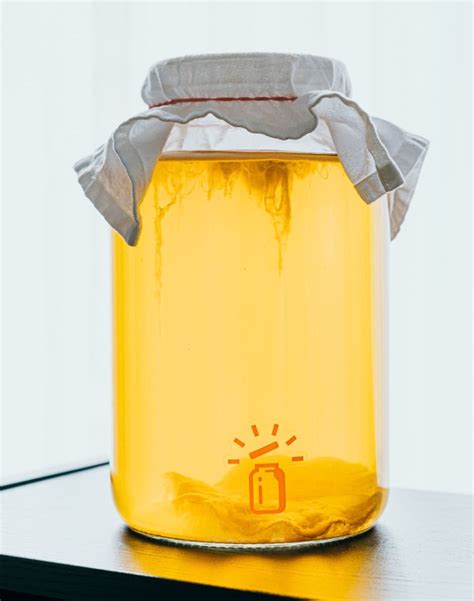 Comment Fabriquer Une M Re De Kombucha R Volution Fermentation