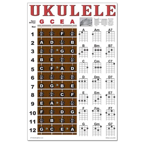 Laminated Ukulele Fretboard Notes And Easy Beginner Chord Chart 11x17