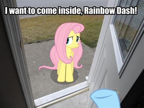 [image 472116] I Want To Cum Inside Rainbow Dash Know Your Meme