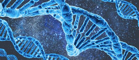 O Que Biologia Molecular - O que é Biologia Molecular? Entenda os fundamentos - SP Labor