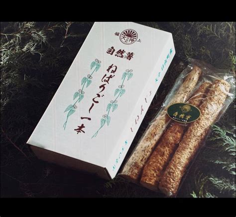 【冬ギフト】大分県産 自然薯 「ねばりごし一本」（カット800グg以上）：大分県産のその他根菜｜食べチョク｜産地直送産直お取り寄せ通販