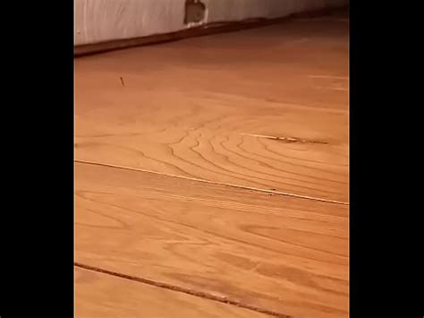 Vecinos Follando Gimiendo Caliente P Xvideos