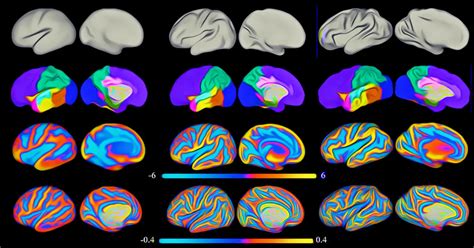 Unlocking The Wonders Of Newborn Brain Development - Moms Feeling