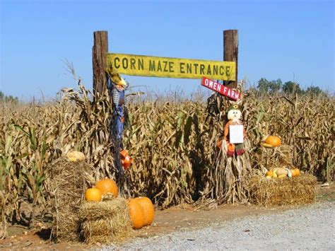 12 best images about Pumpkin patch and corn maze activities on ...