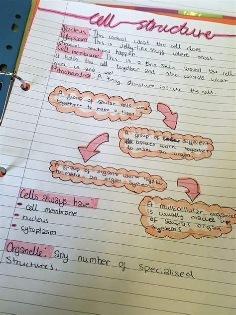 Pin By Oliviachatterjee On Sketching Biology Notes Science Notes