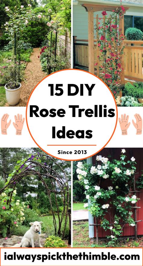 15 DIY Rose Trellis Ideas: Build a Climbing Rose Support