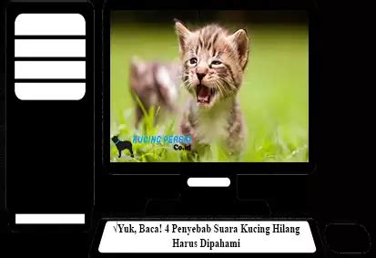 Yuk Baca Penyebab Suara Kucing Hilang Harus Dipahami