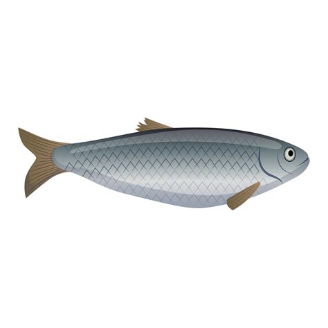herring fish cartoon vector illustration 17589126 Vector Art at Vecteezy