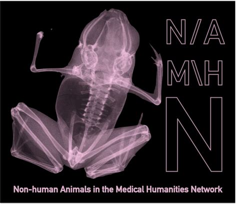 Northern Network For Medical Humanities Researchnetworks In Critical