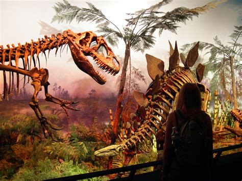 List of dinosaurs | Paleontology Wiki | Fandom powered by Wikia