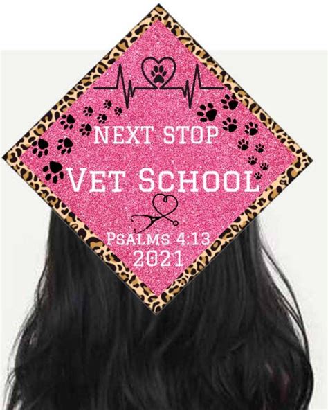 Graduation Cap Toppervet Schoolanimal Science Vet Techdiy