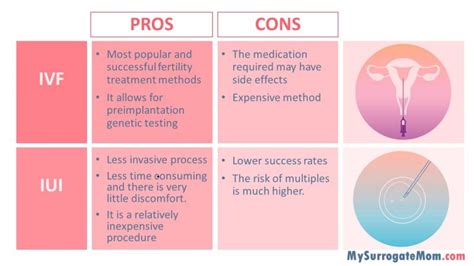 Understanding How Does Surrogacy Work A Step By Step Guide