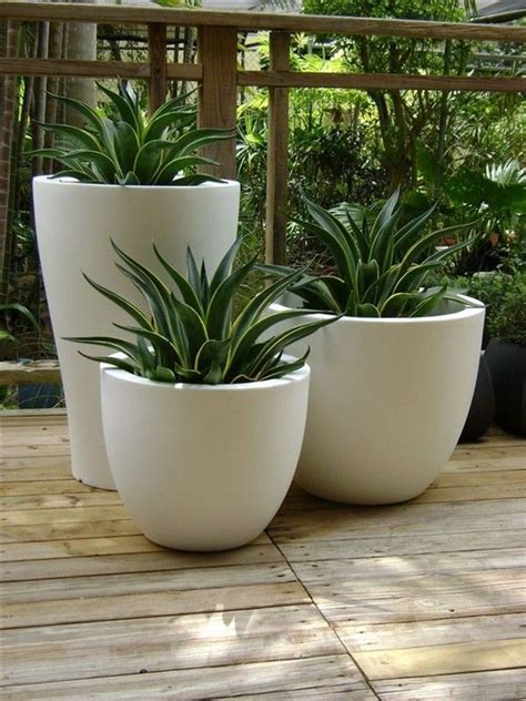 Buy Big Pots For Plants - Okejely Garden Plant