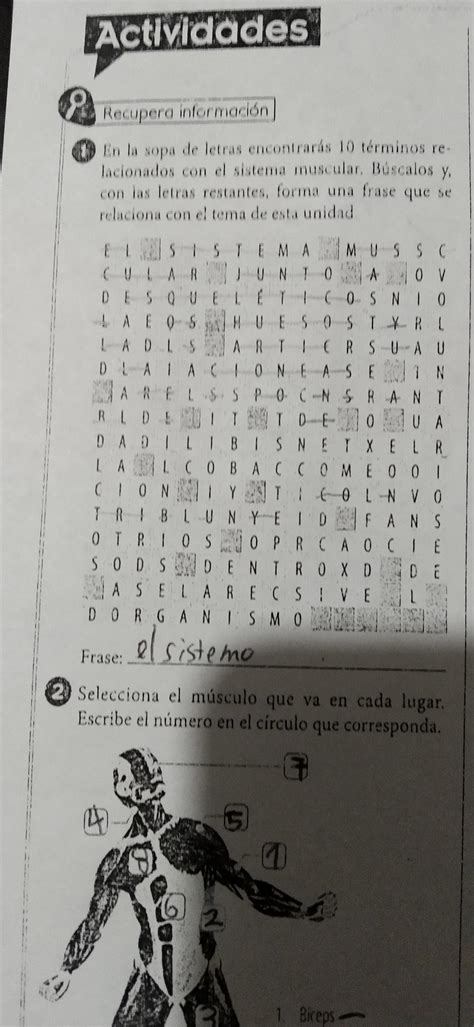 en la sopa de letras encontrarás 10 términos relacionados con el