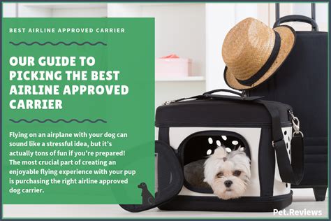 Best Airline Approved Dog Carrier for Small & Large Dogs