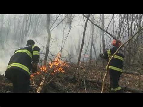 Foto Video Update Incendii De Vegeta Ie La Vin U De Jos Pericol De