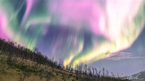 Tempestade Solar Causa Rara Aurora Boreal De Cor Rosa Na Noruega