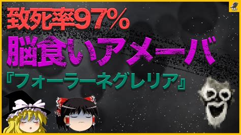 ゆっくり解説日本にもいる水に潜む脳食いアメーバの恐怖 YouTube