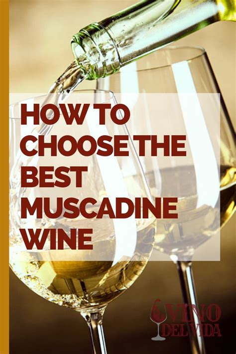 How To Choose The Best Muscadine Wine Muscadine Wine Wine Wine