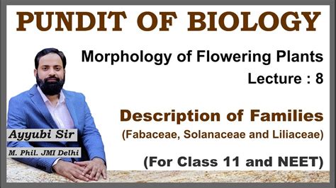 Description Of Families Morphology Of Flowering Plants Biology 11