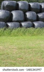 Hay Straw Bales Bagged Protected Plastic Stock Photo 1481341997