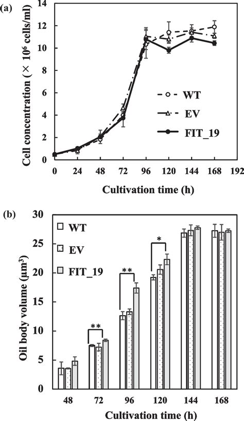 Time Courses Of The Cell Concentrations A And Oil Body Volumes Of