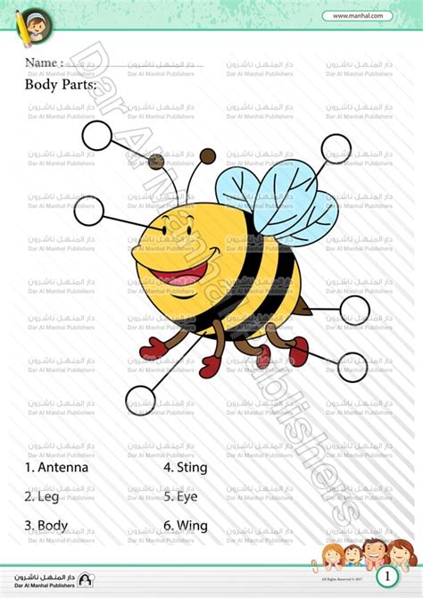 Label Insect Body Parts Worksheet