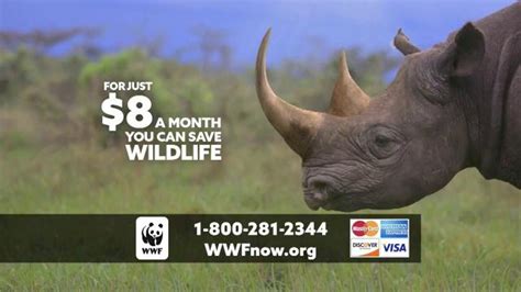 World Wildlife Fund TV Commercial Saving Rhinos In The Wild ISpot Tv