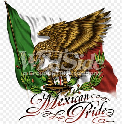 Mexican Pride Flag